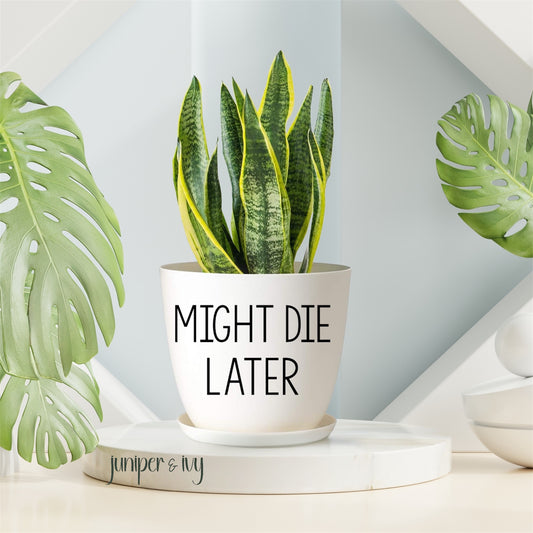 Might die later plant pot