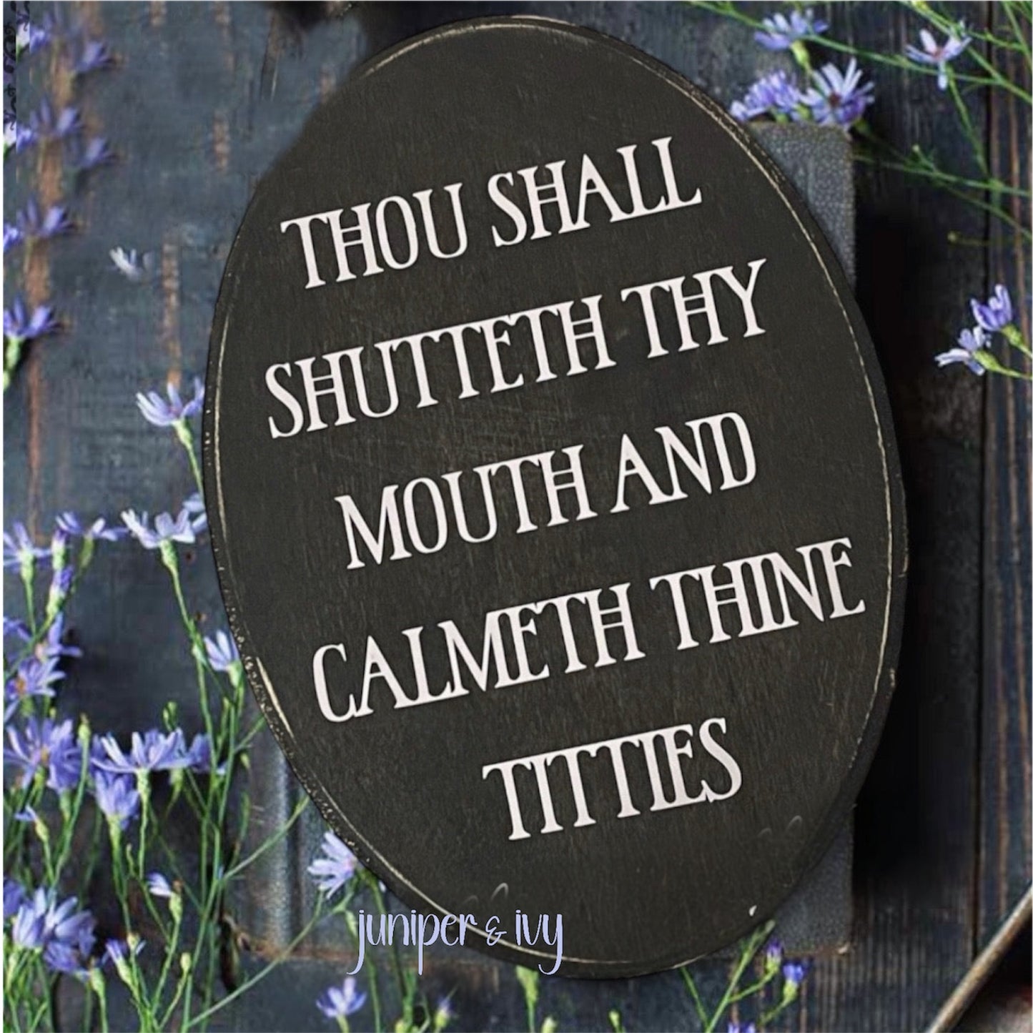Shut thy mouth and calmeth thine titties wooden plaque sign