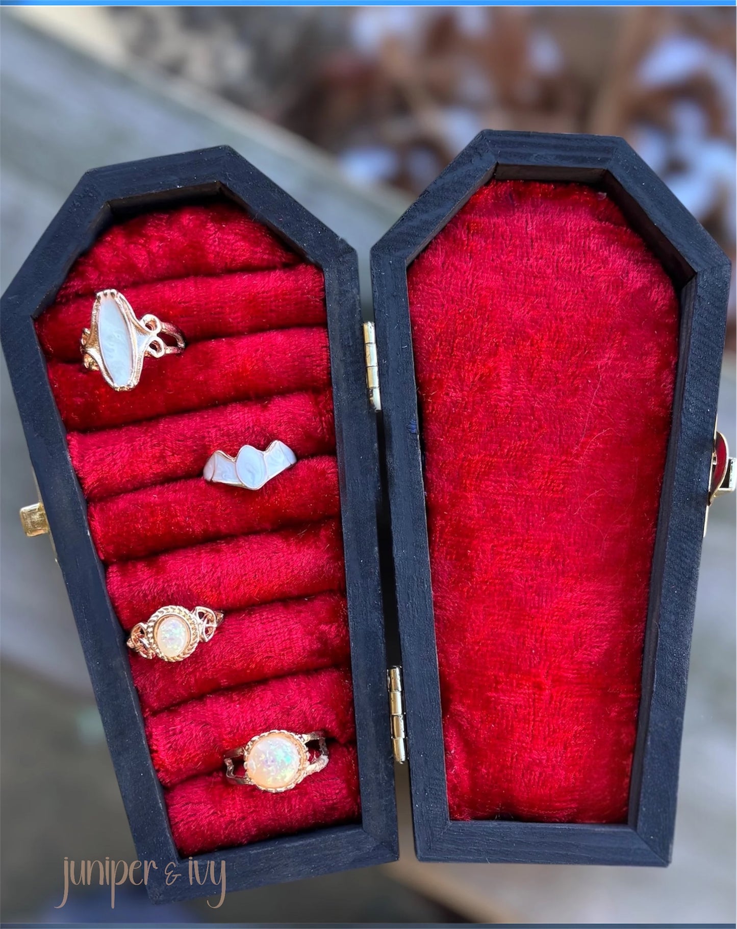 Til we are ghosts coffin shaped jewelry box
