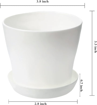 My next victim plant pot