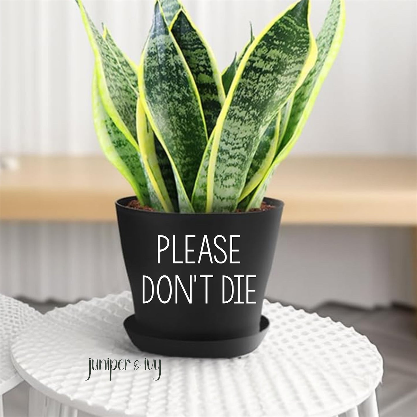Please don’t die plant pot
