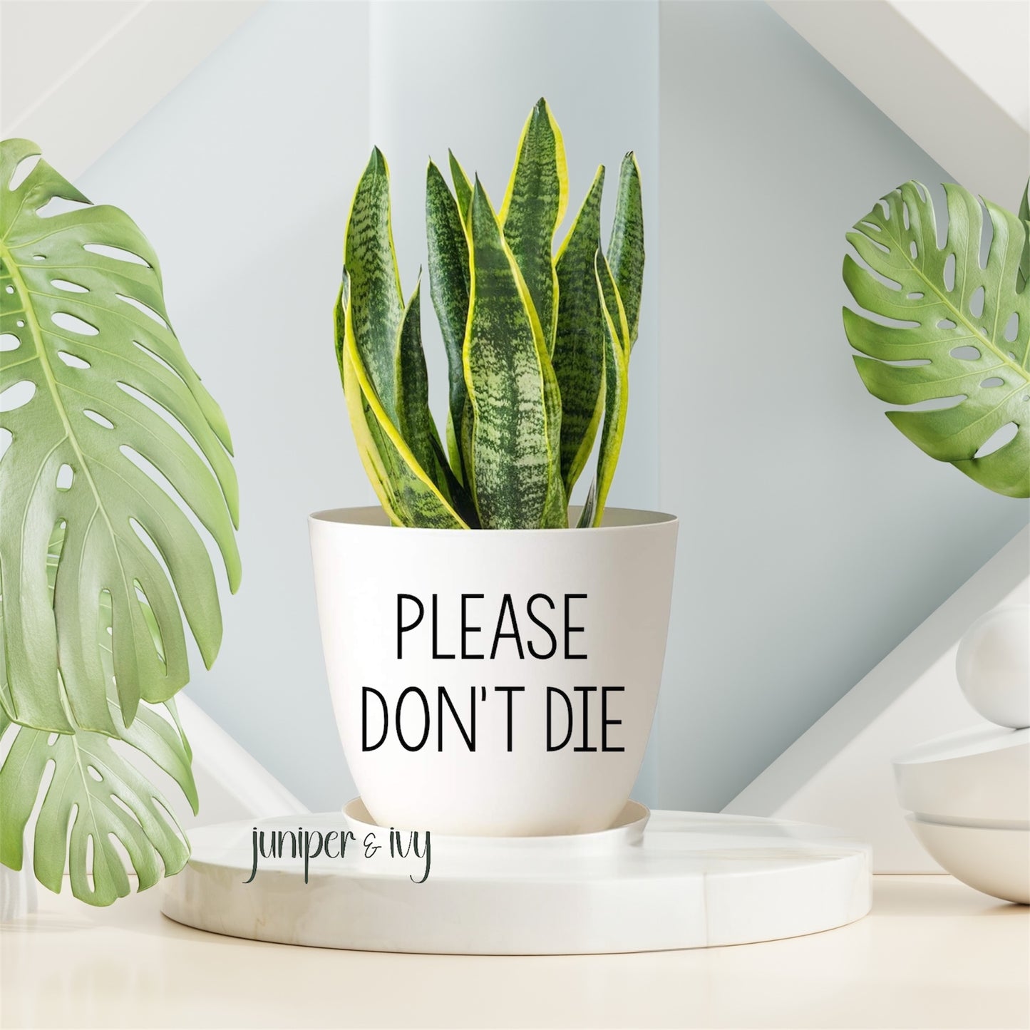 Please don’t die plant pot
