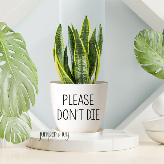 Please don’t die plant pot