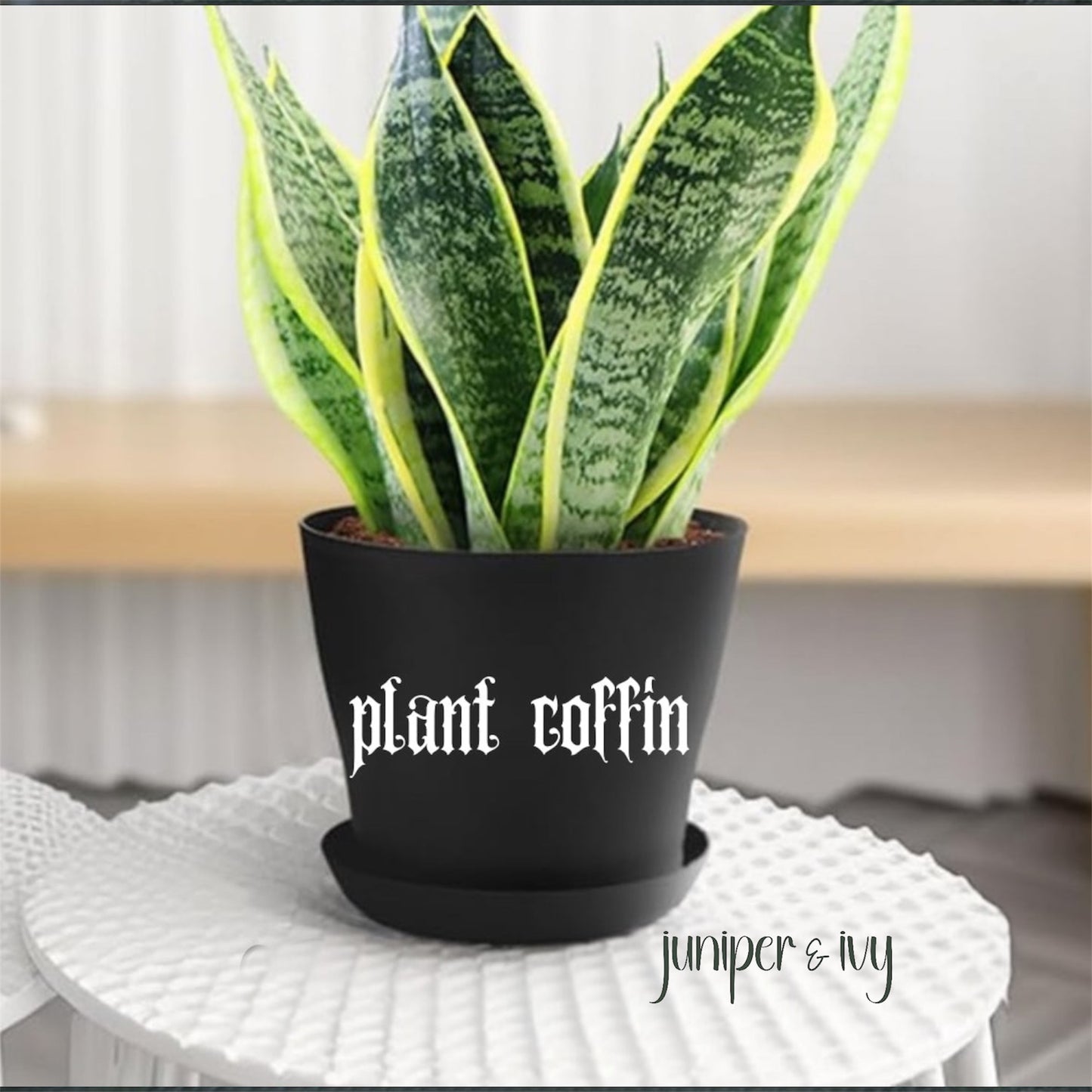 Plant coffin plant pot