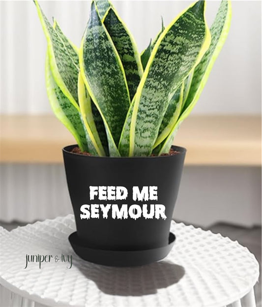 Feed me seymour plant pot