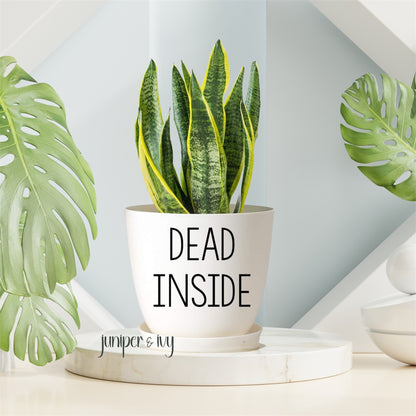 Dead inside plant pot