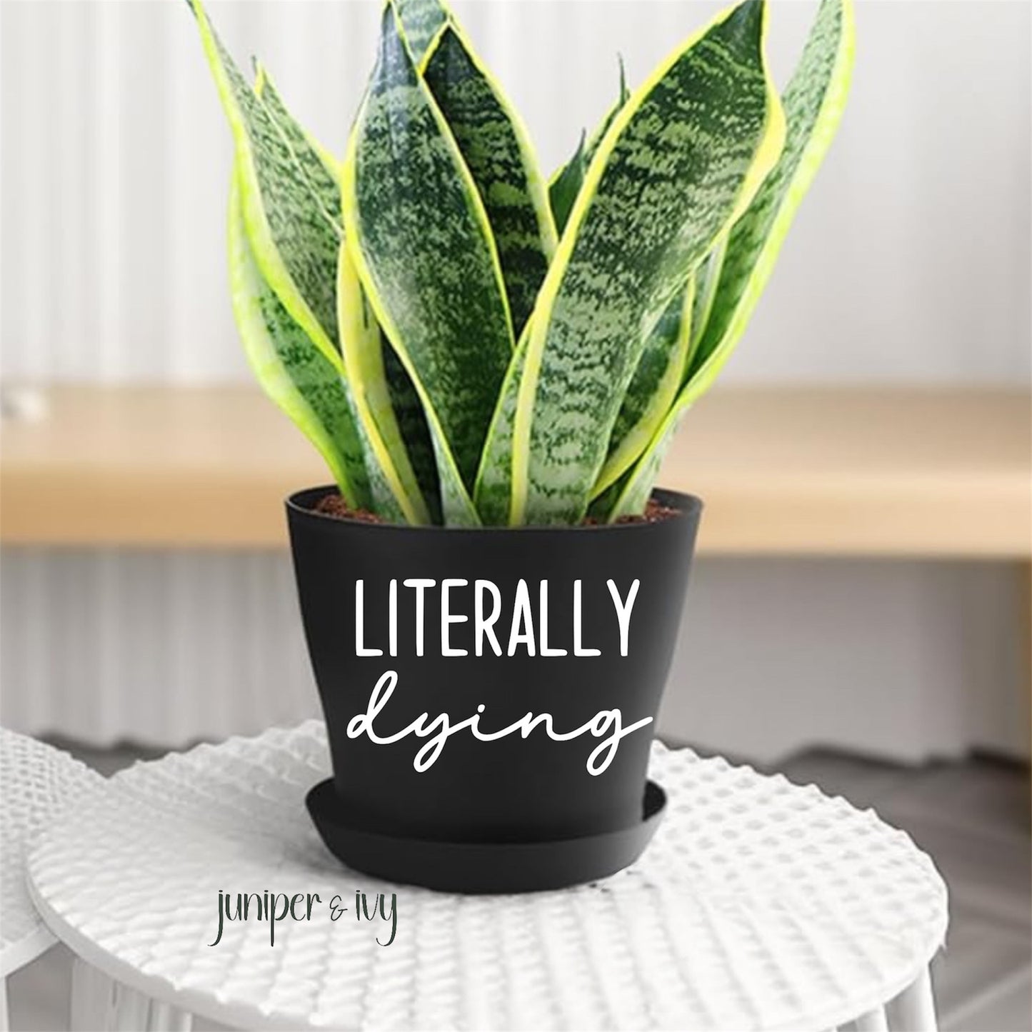 Literally dying plant pot