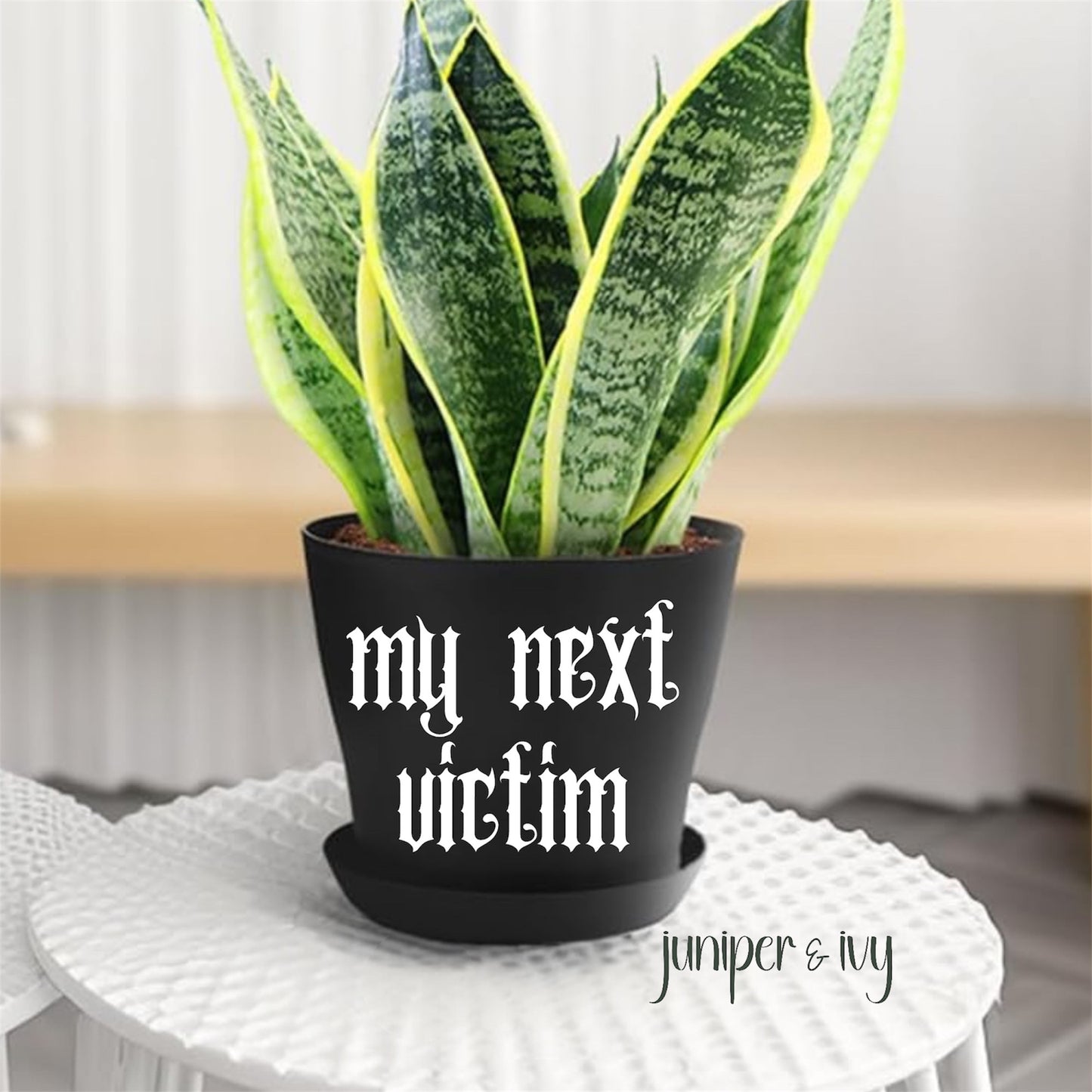 My next victim plant pot