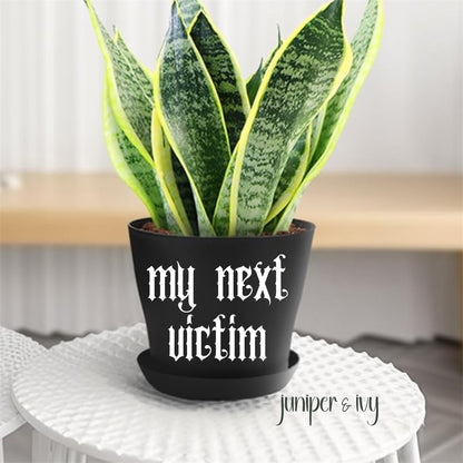 My next victim plant pot