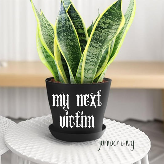 My next victim plant pot