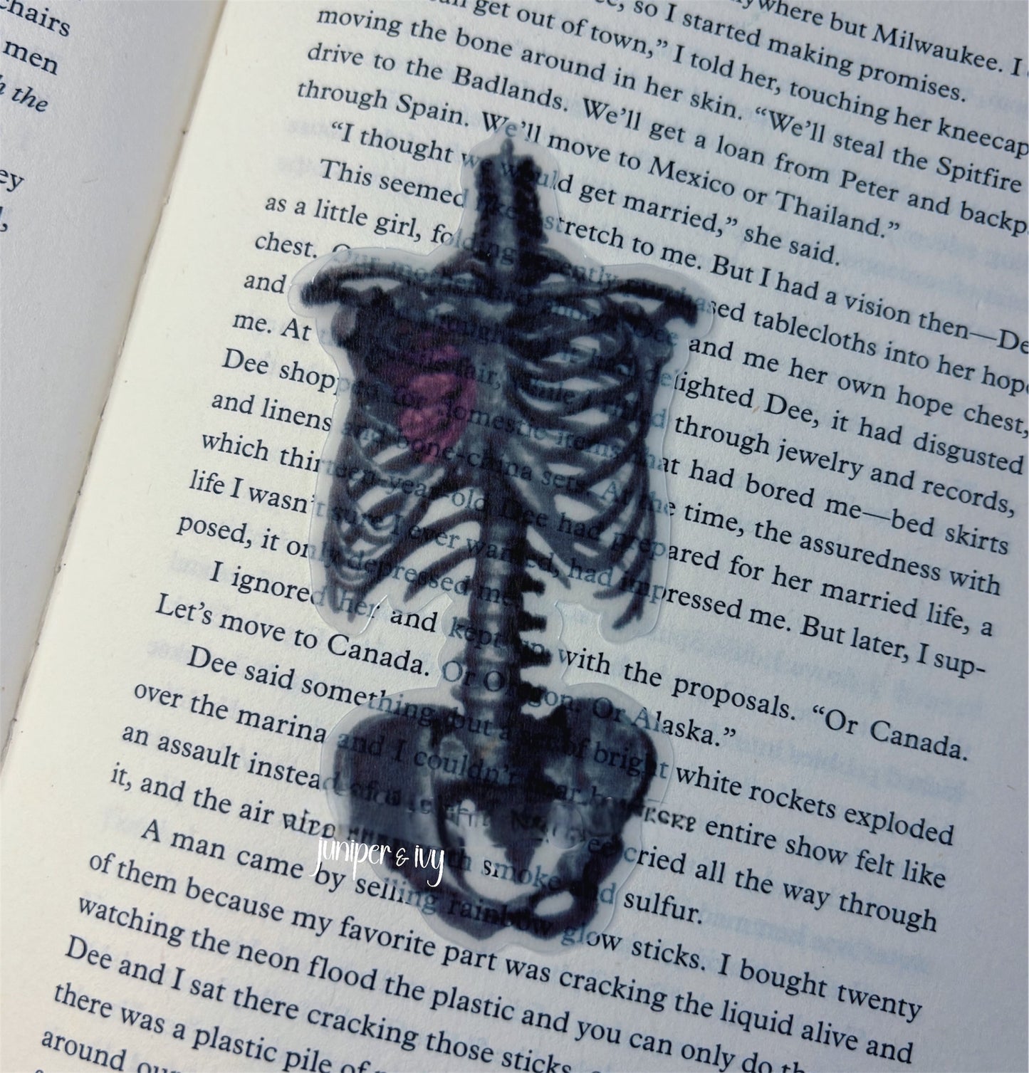 Skeleton bookmark