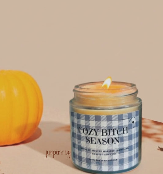 Cozy bitch season candle
